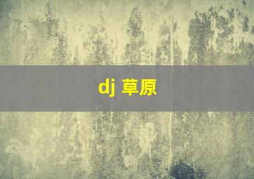 dj 草原